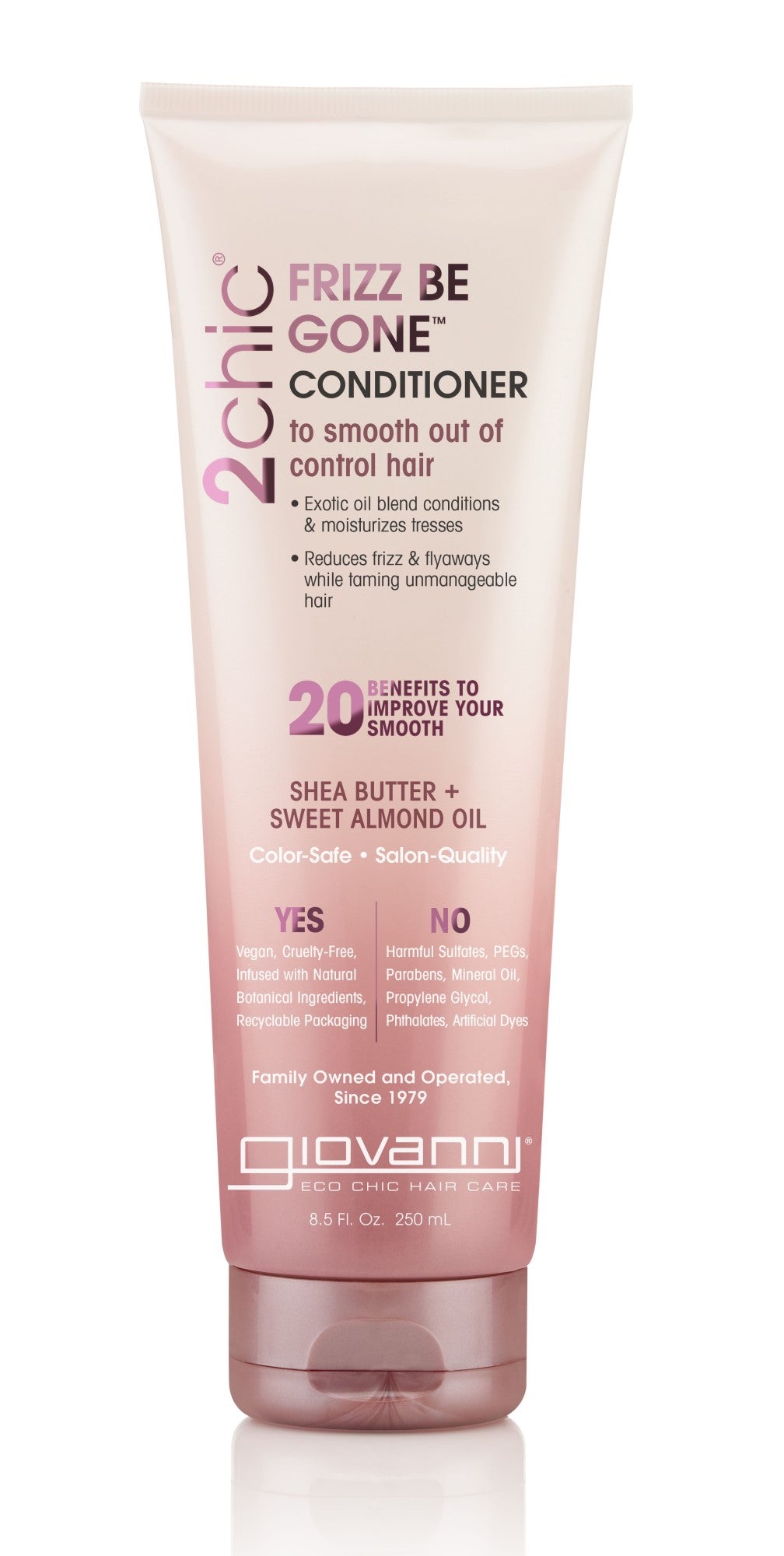 Giovanni 2chic Frizz Begone Conditioner 250mL